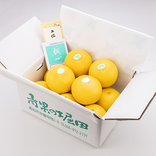 土佐文旦 家庭用 キズ有り