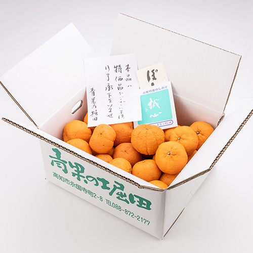 ポンカン 特価品 L・Mサイズ混合