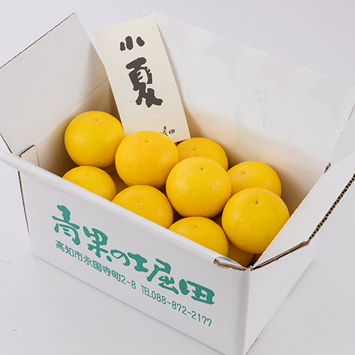 上撰小夏　秀品