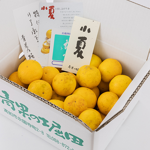上撰小夏　特価品混合【包装不可】