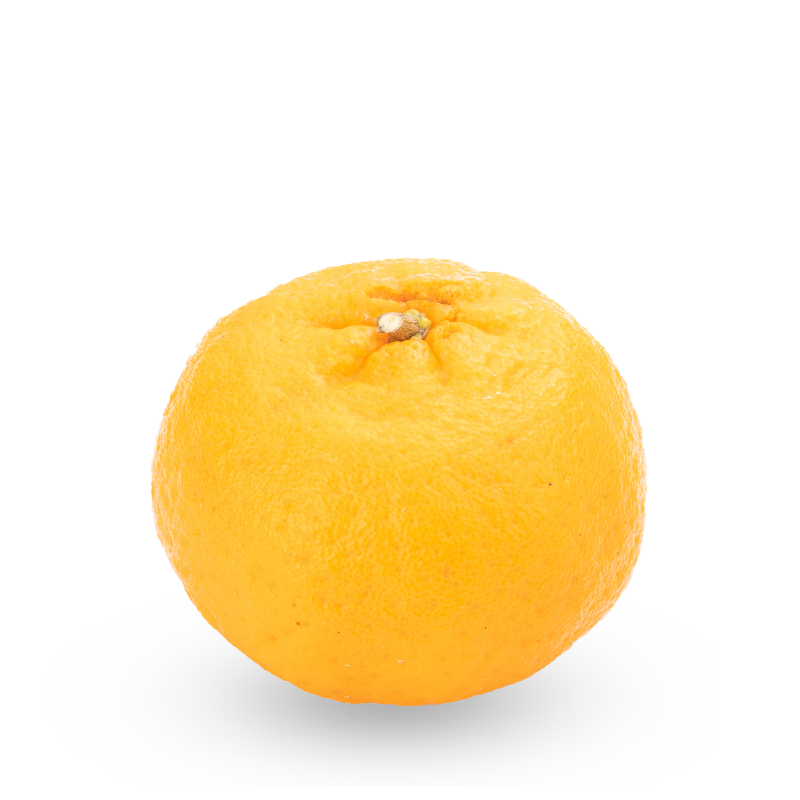 ぽんかん