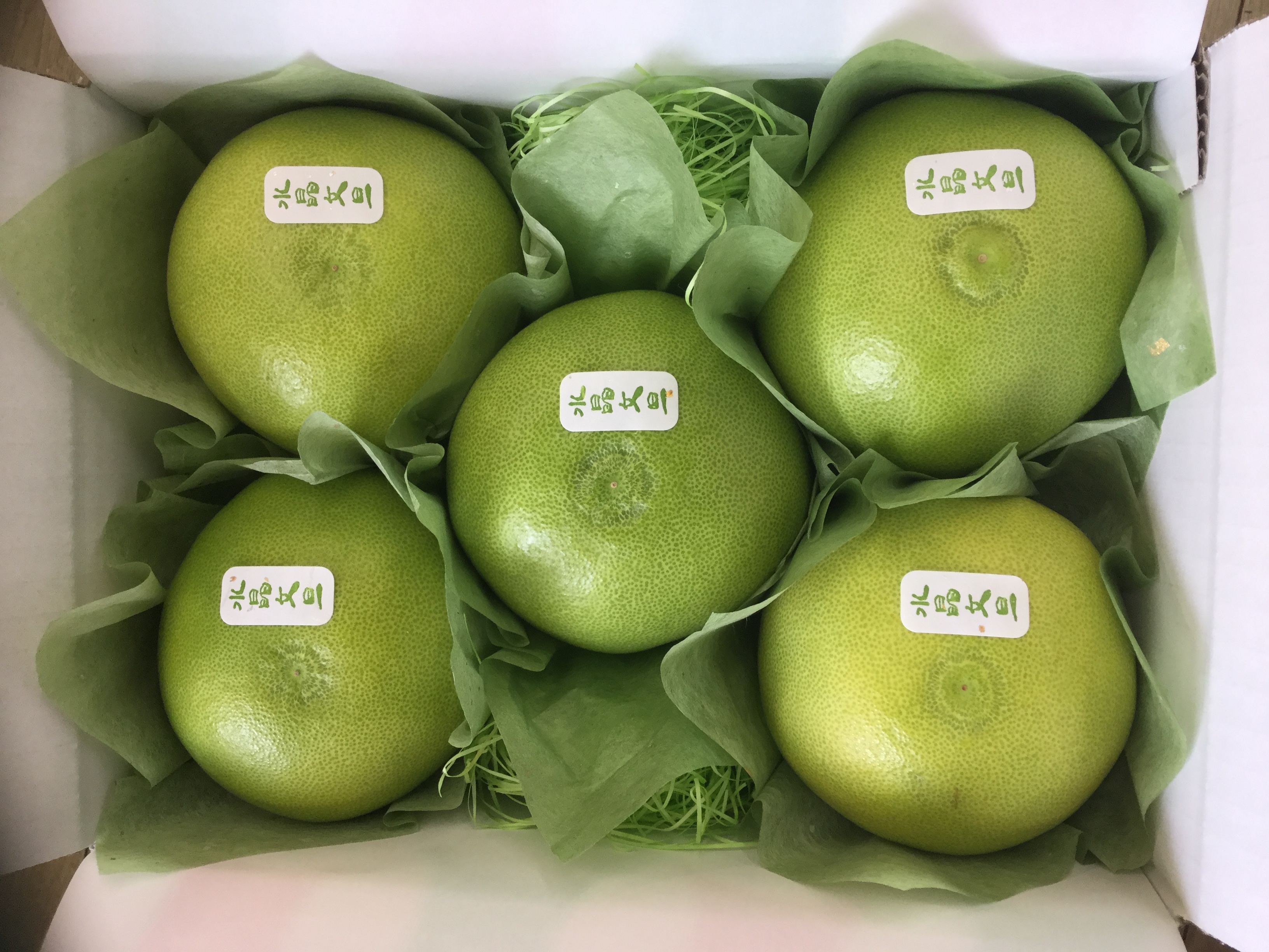 水晶文旦　5個入り