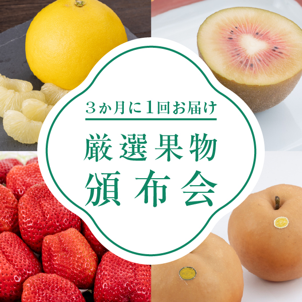 特選　季節の頒布会　果物コース