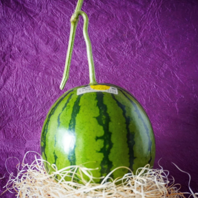 高知県夜須町産スイカ「ルナピエナ」