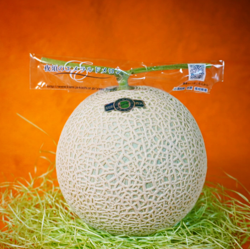 青果の堀田 / 高知県夜須町産メロン「エメラルドメロン」
